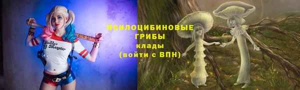 дживик Медногорск