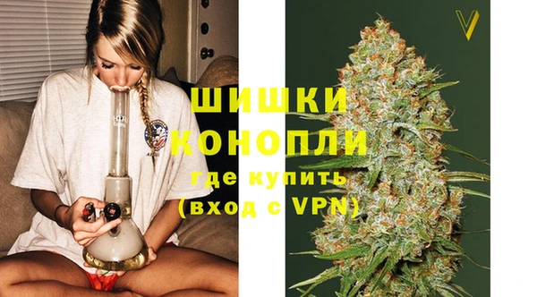 молекула духа Мегион