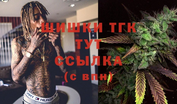 дживик Медногорск