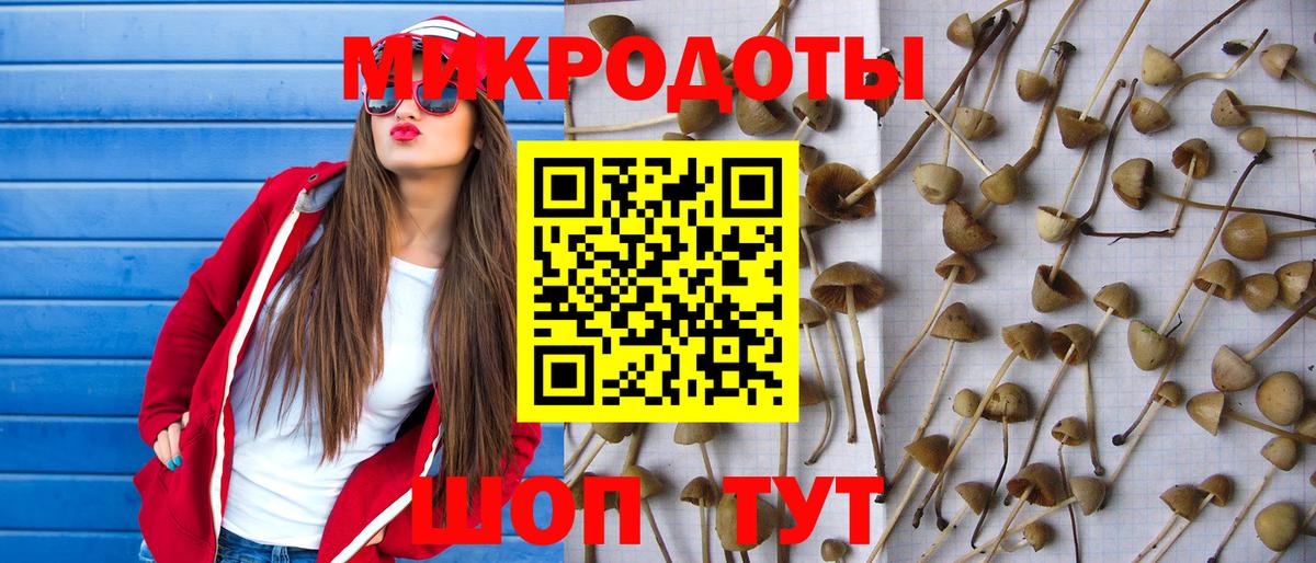 Кропоткин  Галлюциногенные грибы мицелий  Вход с VPN 