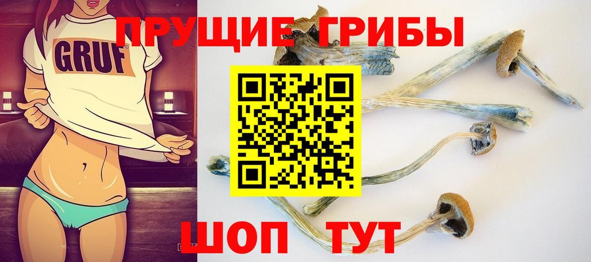 Галлюциногенные грибы Magic Shrooms Кропоткин